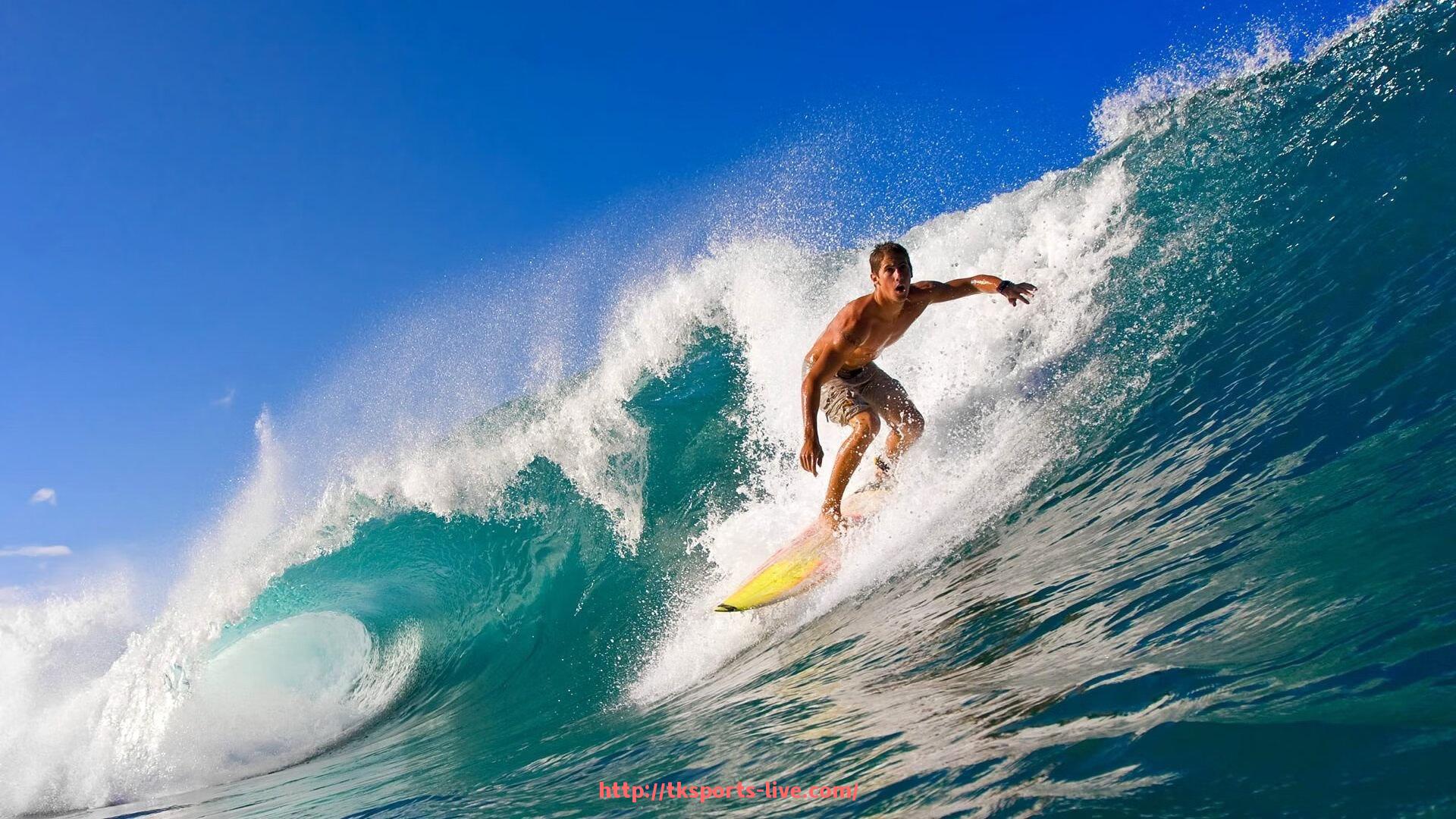 TK体育直播-健身器材售后服务方案：体育场馆设备运维要点